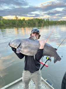 Chase the big Catfish catch on James River!